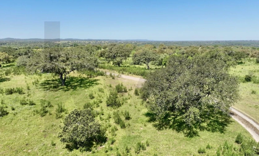 Terreno para Venda em Figueira dos Cavaleiros Foto 10