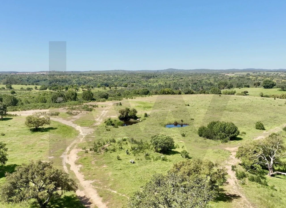 Terreno para Venda em Figueira dos Cavaleiros Foto 9