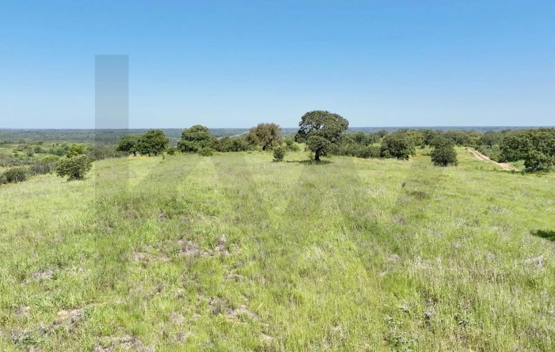 Terreno para Venda em Figueira dos Cavaleiros Foto 2