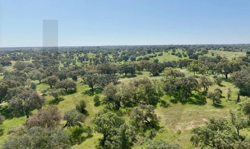 Terreno para Venda em Figueira dos Cavaleiros Foto 7