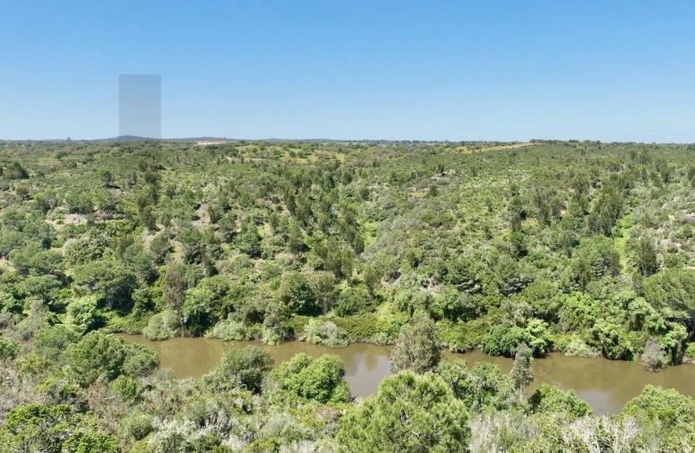 Terreno para Venda em Figueira dos Cavaleiros Foto 11