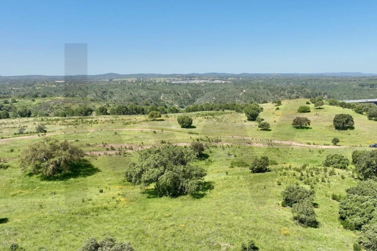 Terreno para Venda em Figueira dos Cavaleiros Foto 8