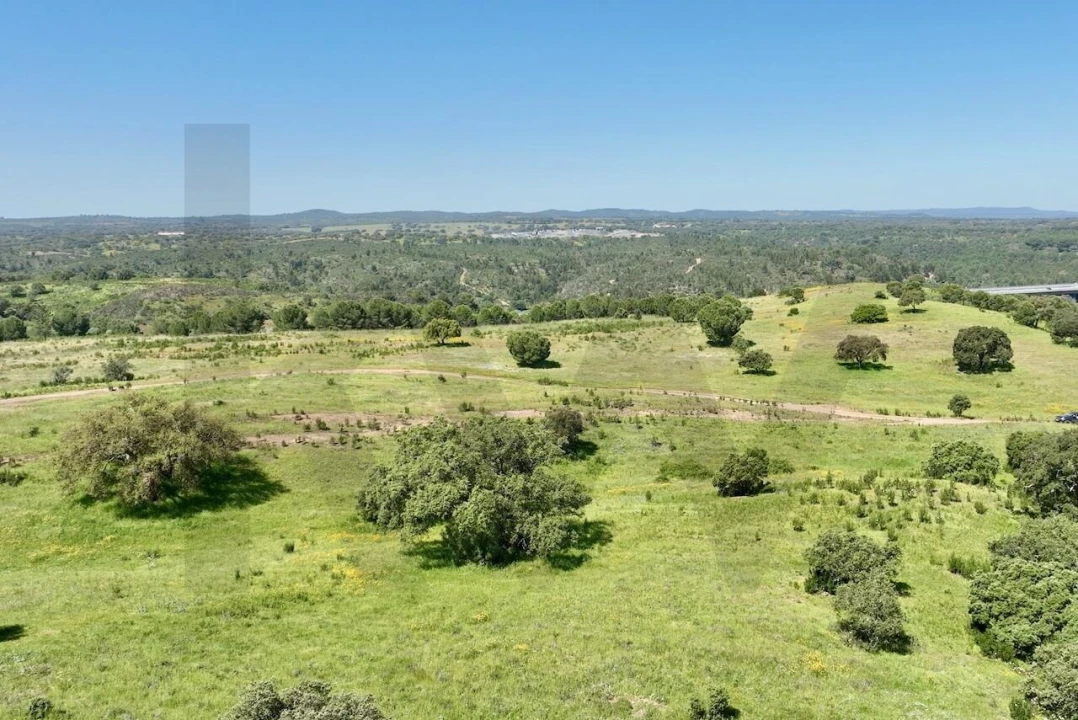 Terreno para Venda em Figueira dos Cavaleiros Foto 8
