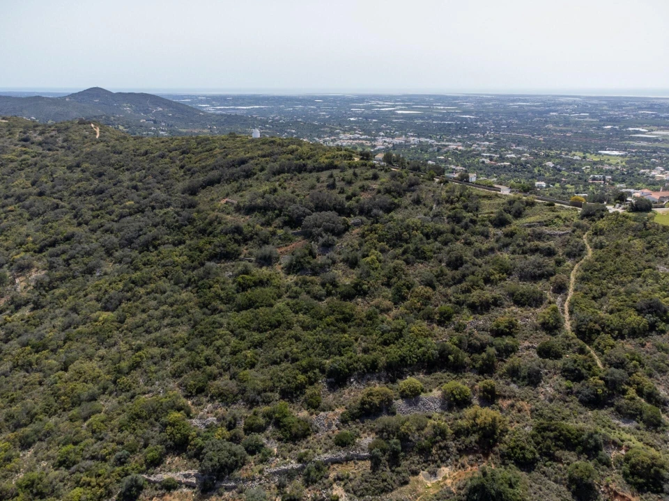Terreno para Venda em Santa Barbara de Nexe Foto 8