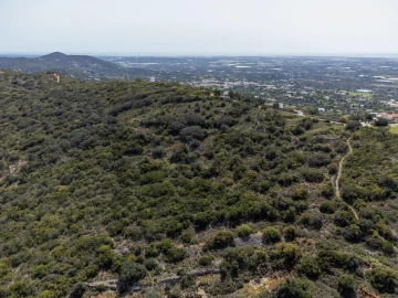 Terreno para Venda em Santa Barbara de Nexe