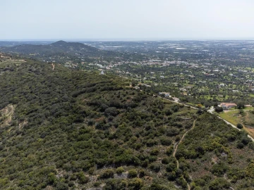 Terreno para Venda em Santa Barbara de Nexe