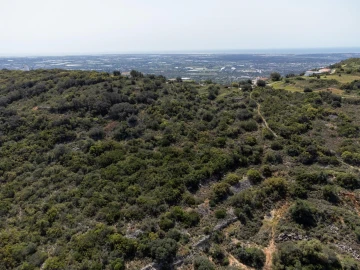 Terreno para Venda em Santa Barbara de Nexe