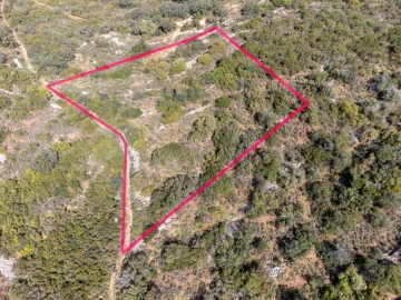 Terreno para Venda em Santa Barbara de Nexe