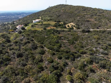 Terreno para Venda em Santa Barbara de Nexe