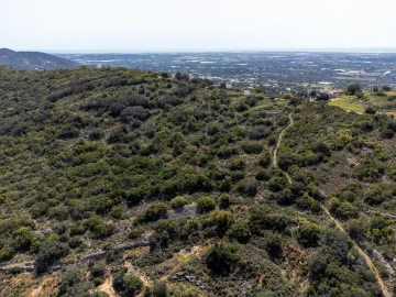 Terreno para Venda em Santa Barbara de Nexe