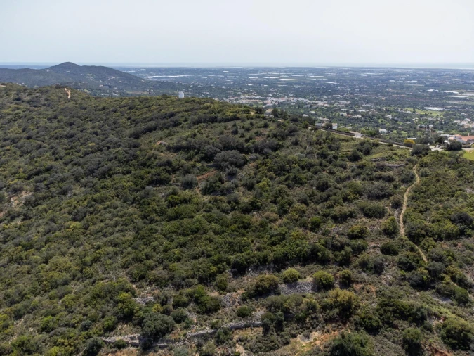 Terreno para Venda em Santa Barbara de Nexe Foto 8