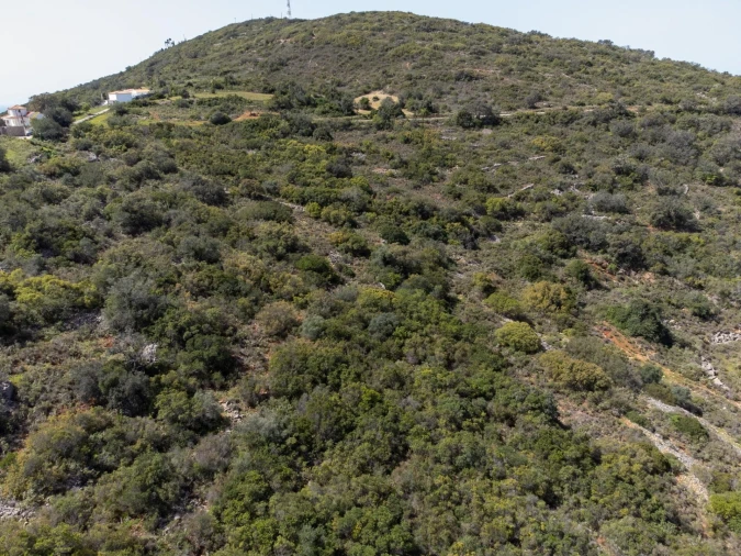 Terreno para Venda em Santa Barbara de Nexe Foto 11