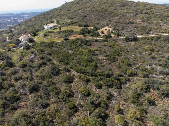 Terreno para Venda em Santa Barbara de Nexe Foto 3