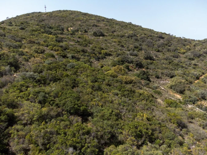 Terreno para Venda em Santa Barbara de Nexe Foto 12