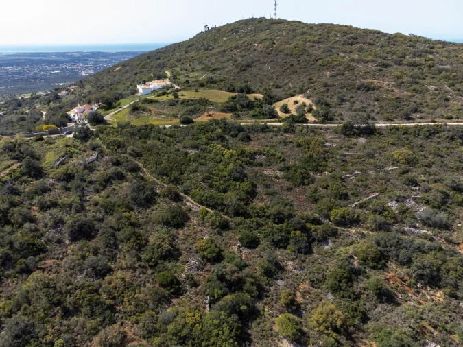 Terreno para Venda em Santa Barbara de Nexe Foto 4