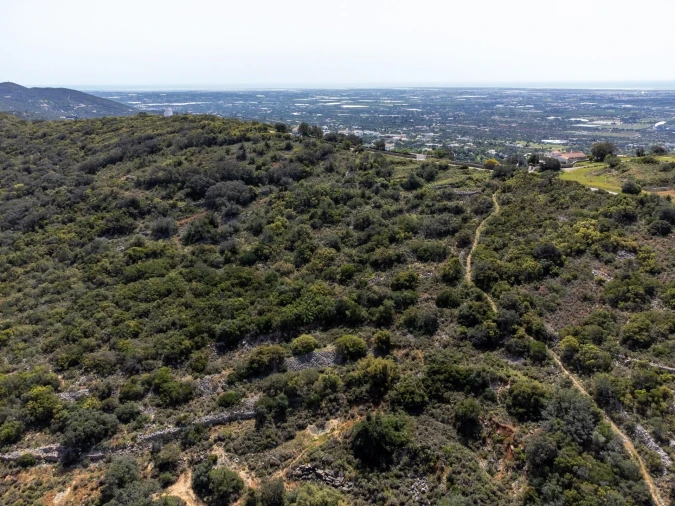 Terreno para Venda em Santa Barbara de Nexe Foto 7