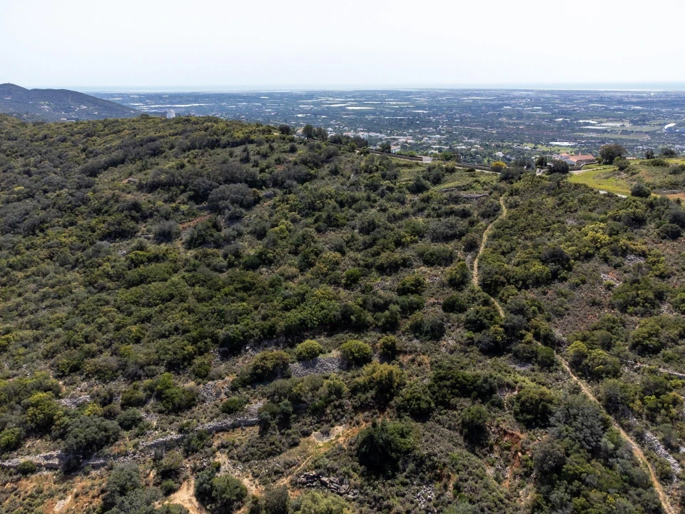 Terreno para Venda em Santa Barbara de Nexe Foto 7