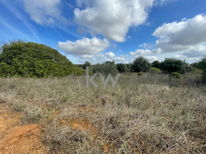 Terreno para Venda em Luz Foto 21