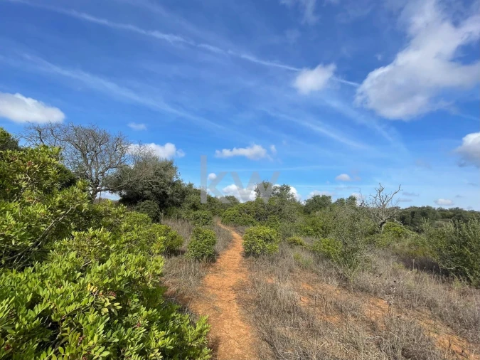 Terreno para Venda em Luz Foto 20
