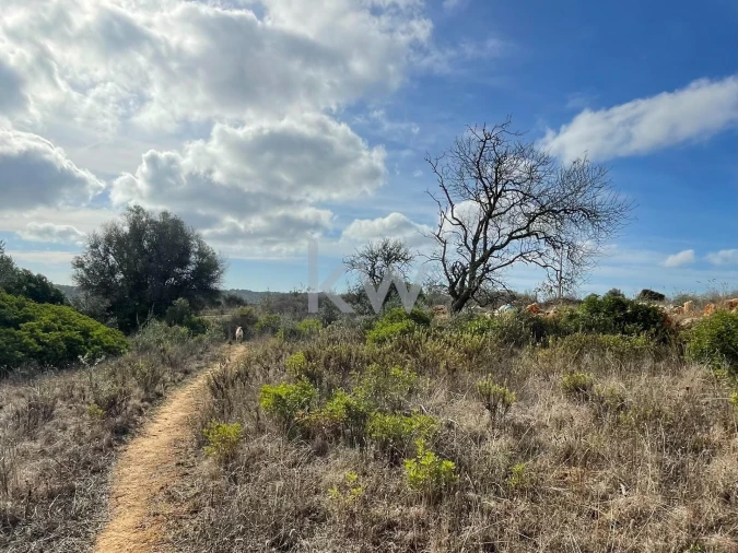 Terreno para Venda em Luz Foto 18