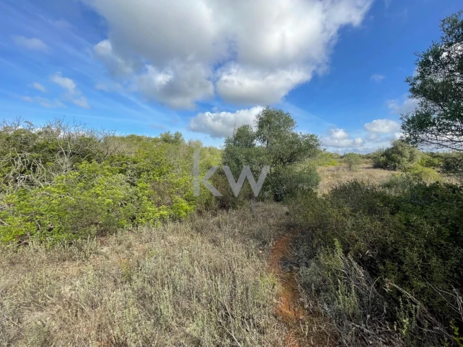 Terreno para Venda em Luz Foto 16