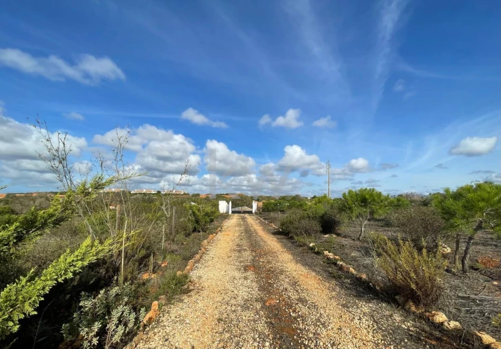 Terreno para Venda em Luz Foto 9