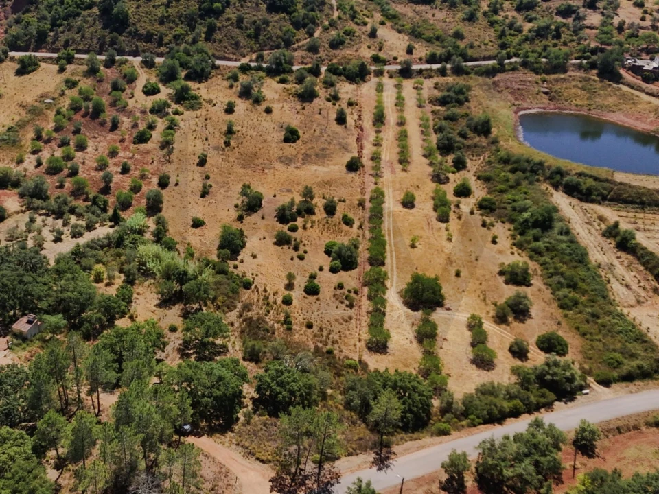 Terreno para Venda em Alte Foto 16
