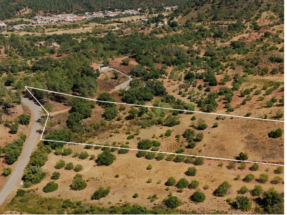 Terreno para Venda em Alte Foto 13
