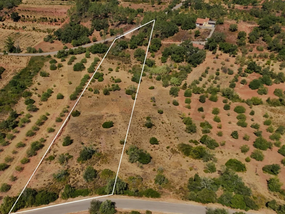 Terreno para Venda em Alte Foto 1