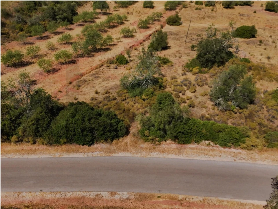 Terreno para Venda em Alte Foto 6