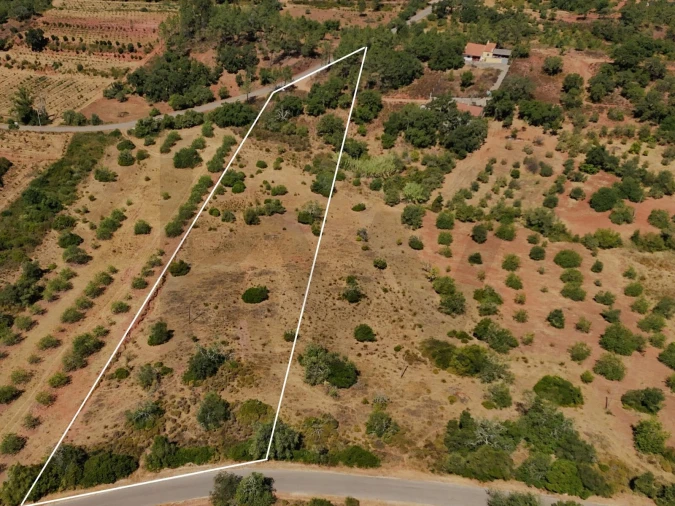 Terreno para Venda em Alte