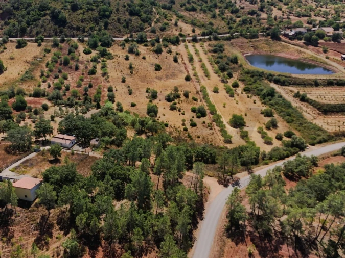 Terreno para Venda em Alte Foto 5