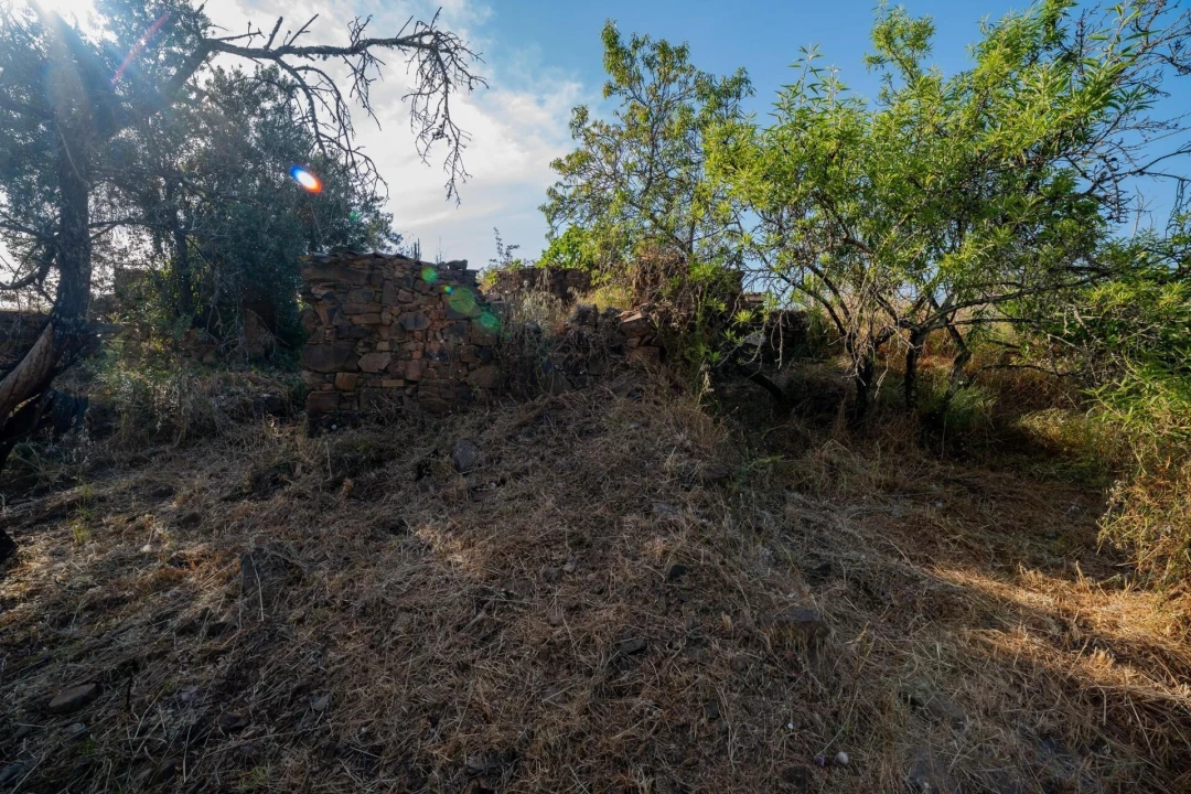 Terreno para Venda em Santa Catarina da Fonte do Bispo Foto 9