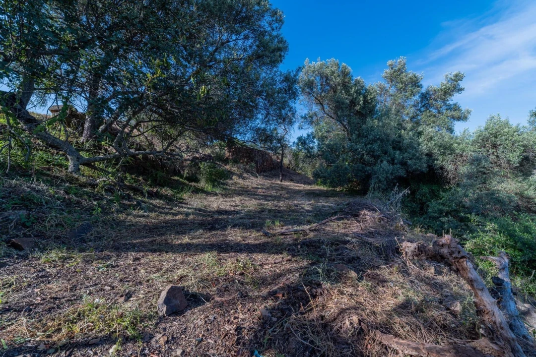 Terreno para Venda em Santa Catarina da Fonte do Bispo Foto 8