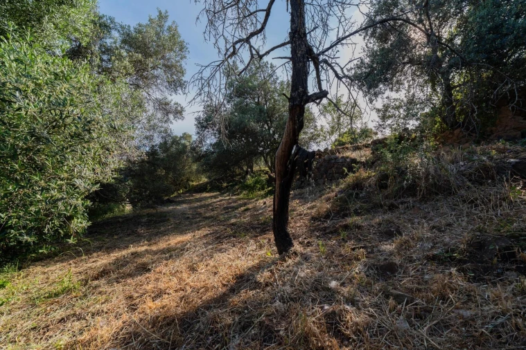Terreno para Venda em Santa Catarina da Fonte do Bispo Foto 10