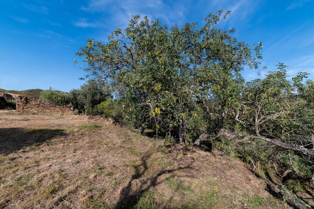 Terreno para Venda em Santa Catarina da Fonte do Bispo Foto 11