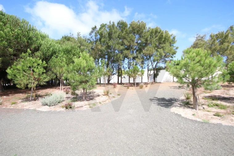 Moradia T4 para Venda em Vau Foto 5