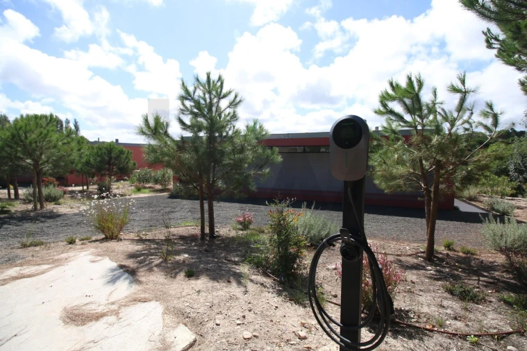 Moradia T4 para Venda em Vau Foto 8