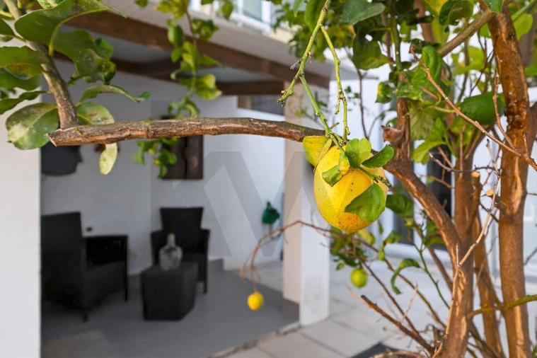Apartamento T3 para Venda em Arroios Foto 28