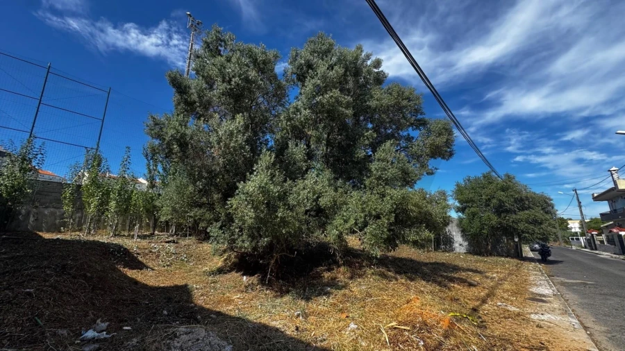 Terreno para Venda em Santa Iria de Azoia, São João da Talha e Bobadela Foto 3
