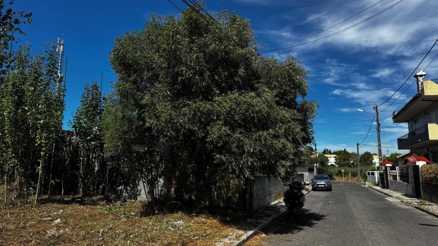 Terreno para Venda em Santa Iria de Azoia, São João da Talha e Bobadela Foto 5