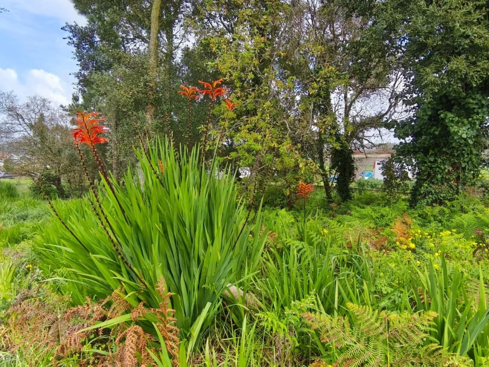 Terreno para Venda em Mafra Foto 1