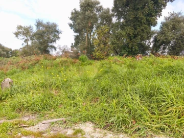 Terreno para Venda em Mafra
