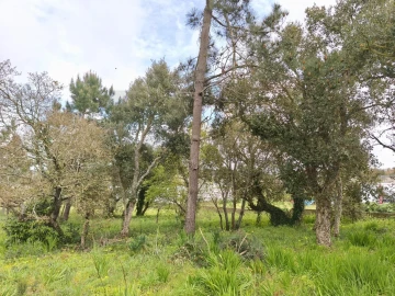 Terreno para Venda em Mafra