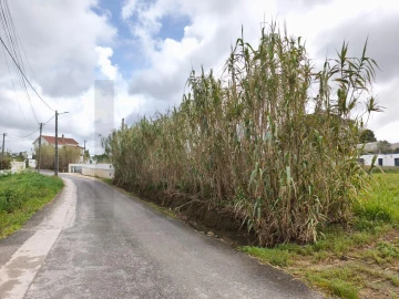 Terreno para Venda em Mafra