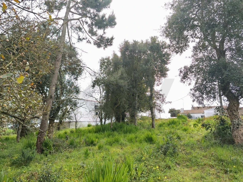 Terreno para Venda em Mafra Foto 8
