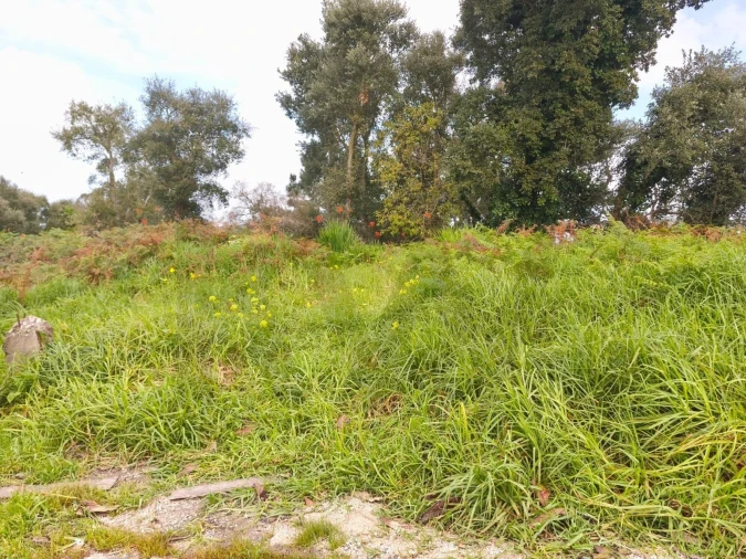 Terreno para Venda em Mafra Foto 5