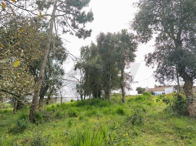 Terreno para Venda em Mafra Foto 8