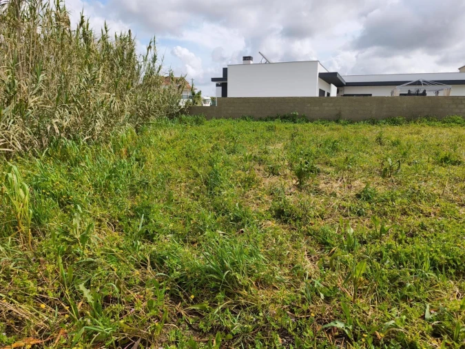 Terreno para Venda em Mafra Foto 12