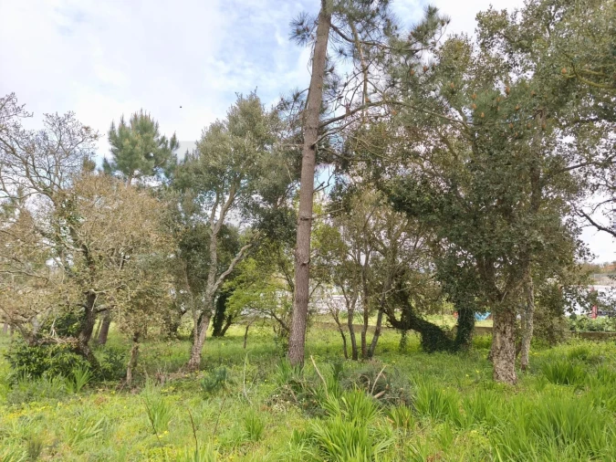 Terreno para Venda em Mafra Foto 7